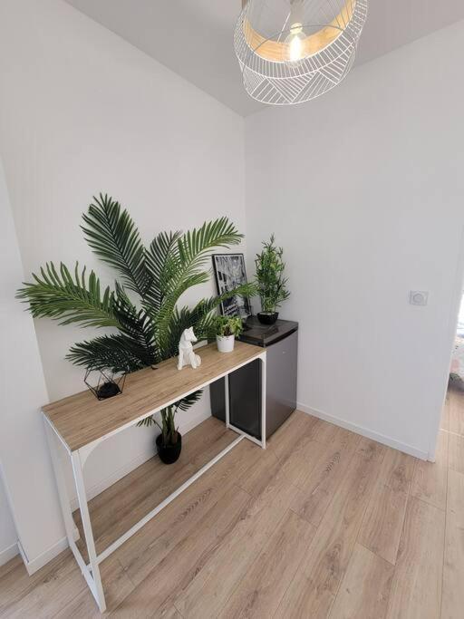 Appartement Superbe T2 Avec Parking Albi